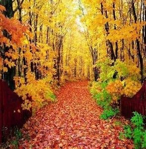 Meet your Posher, Charles